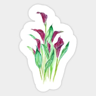 purple calla lily watercolor Sticker